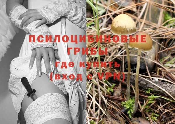 mix Анжеро-Судженск