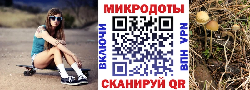 Галлюциногенные грибы прущие грибы  купить наркотики сайты  Тихвин 