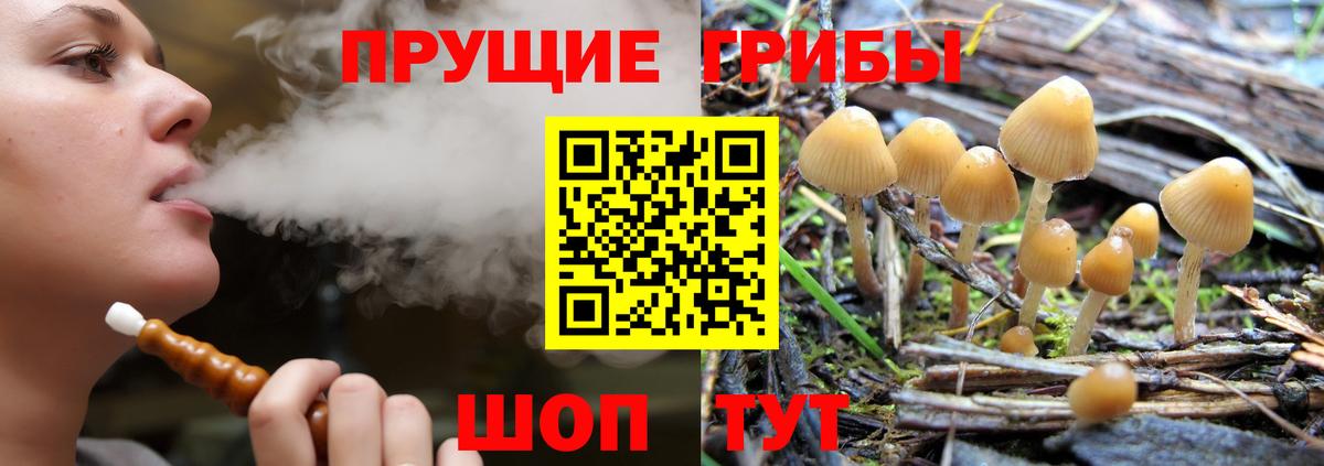 Галлюциногенные грибы ЛСД  Вход с VPN  Тихвин 