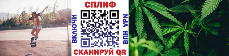 Бошки марихуана LSD WEED  МЕГА сайт  Тихвин  купить наркотик 